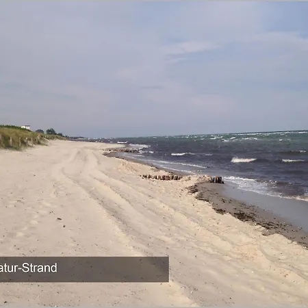 Ferienhaus Strandmuschel By Kuestenbuden Groemitz * Grömitz