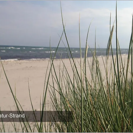 Küstenbude Strandmuschel Сasa de vacaciones *