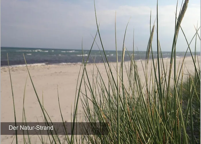 Küstenbude Strandmuschel Сasa de vacaciones *